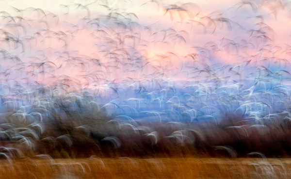 _40A4681.jpg