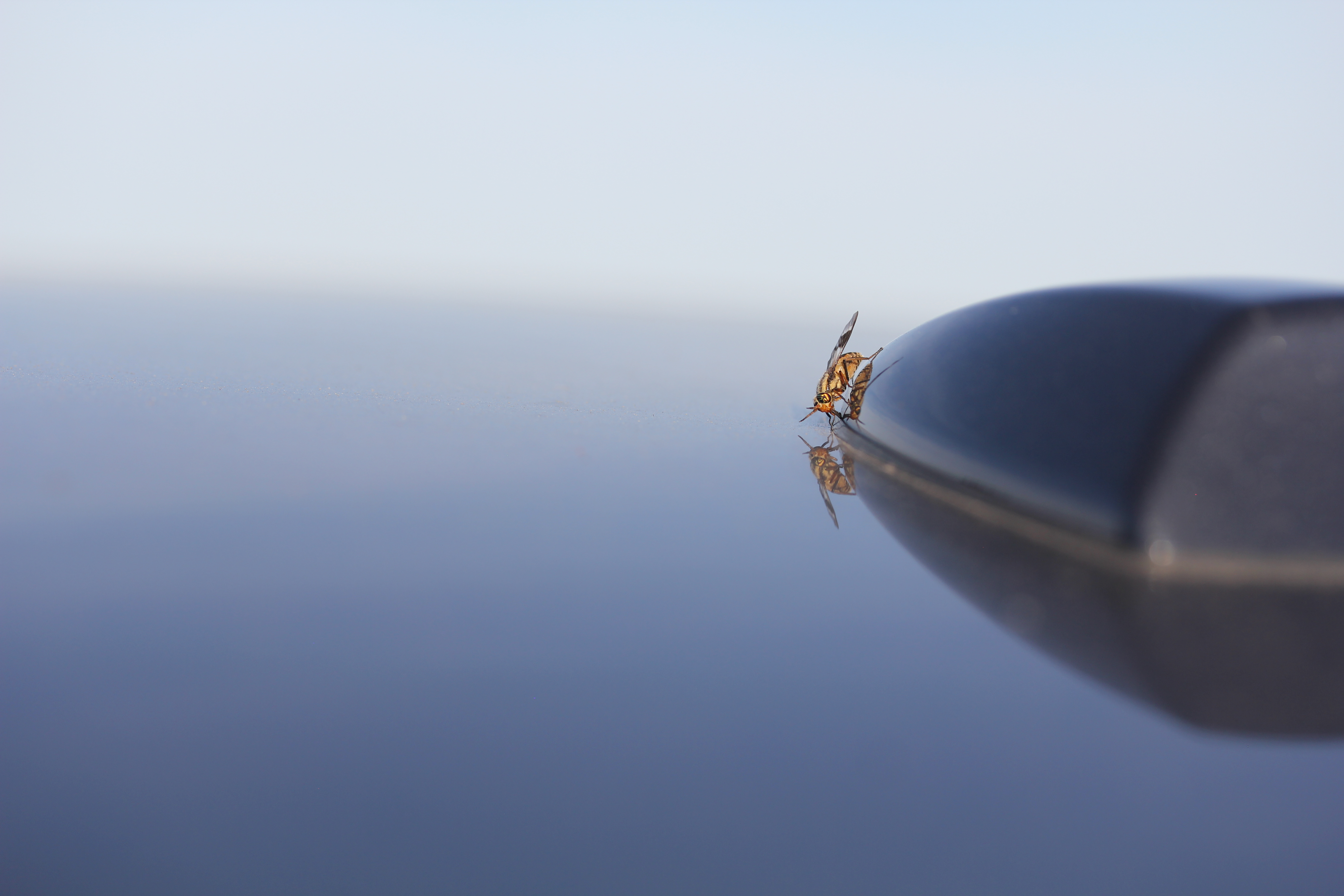 top-of-car-6-14-2020.JPG