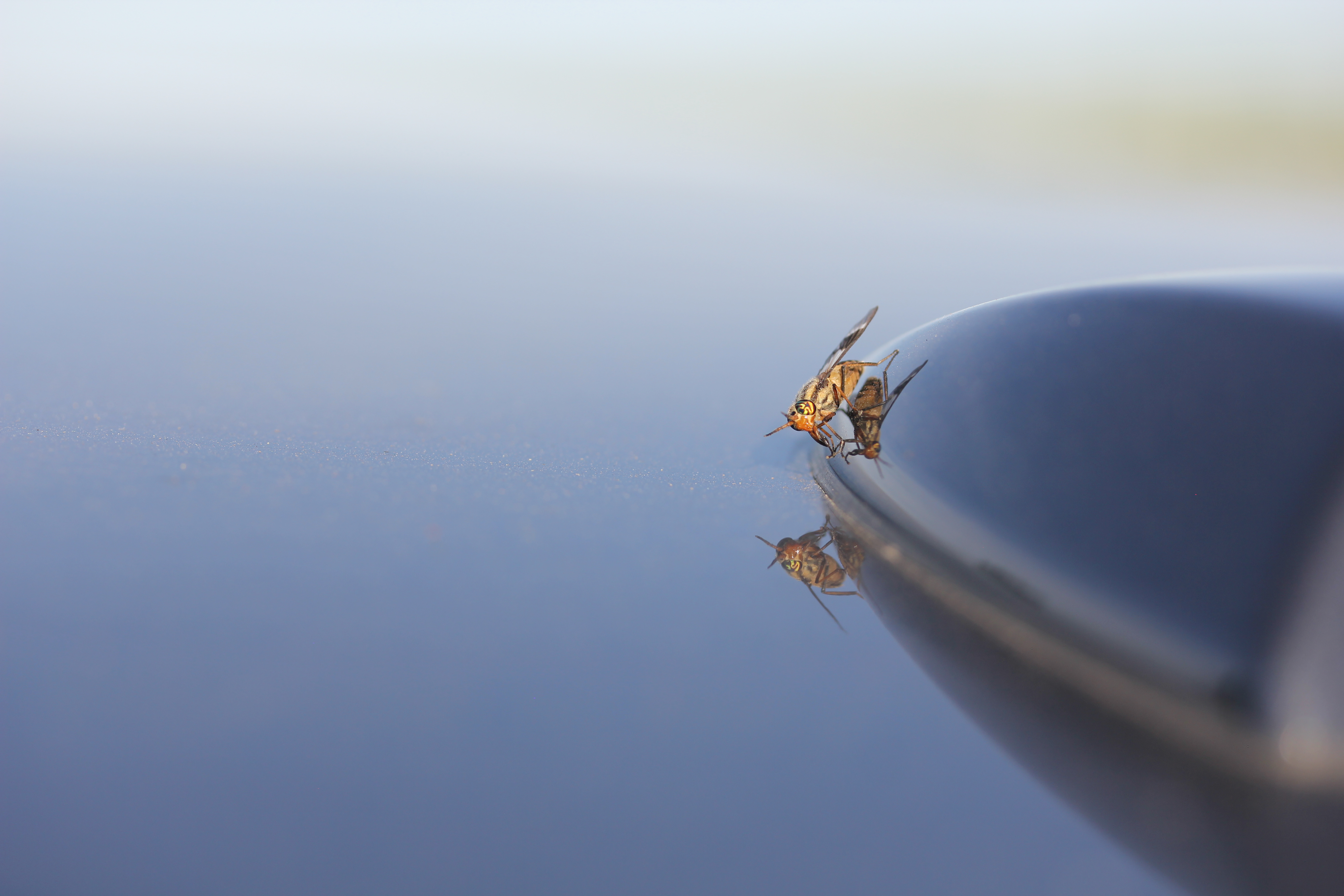 top-of-car-2nd-6-14-2020.JPG