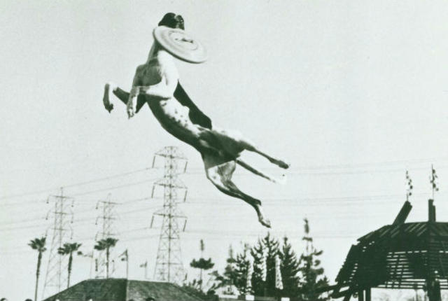 Asley Whippet.jpg
